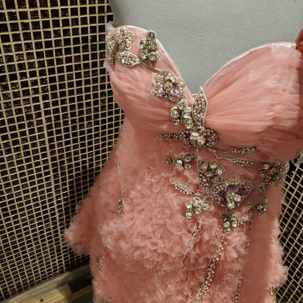 Terani Couture Pink Cocktail Dress, Prom Gown NWOT